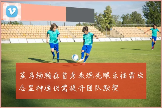 菜鸟杨瀚森首秀表现亮眼乐福雷诺各显神通仍需提升团队默契