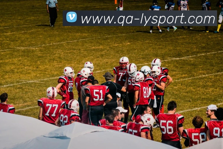 乐鱼体育发展历程